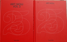 Art Now ,81 artists at the rise of the New Millennium.2 vol.